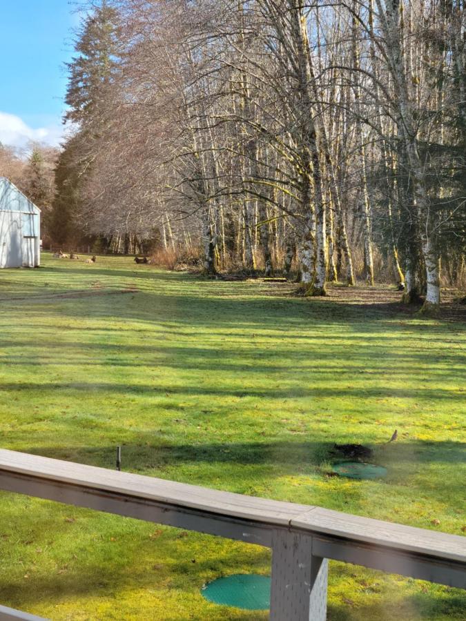 A Relaxing Getaway-A Backwoods Cabin Solduc River Beaver المظهر الخارجي الصورة