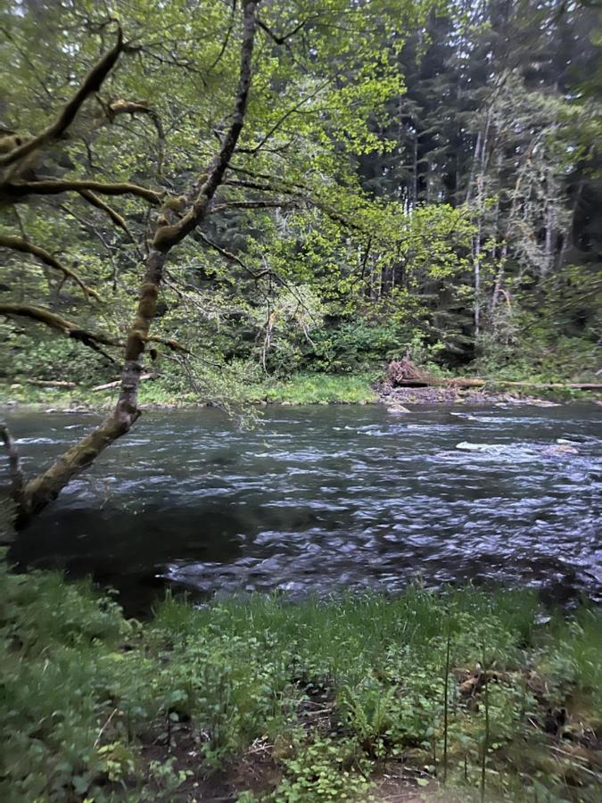 A Relaxing Getaway-A Backwoods Cabin Solduc River Beaver المظهر الخارجي الصورة