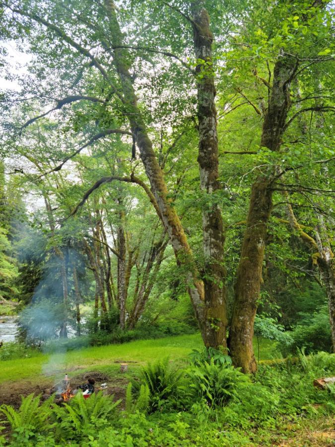 A Relaxing Getaway-A Backwoods Cabin Solduc River Beaver المظهر الخارجي الصورة
