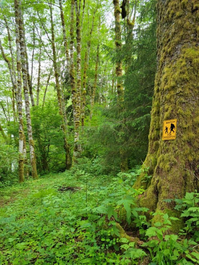 A Relaxing Getaway-A Backwoods Cabin Solduc River Beaver المظهر الخارجي الصورة