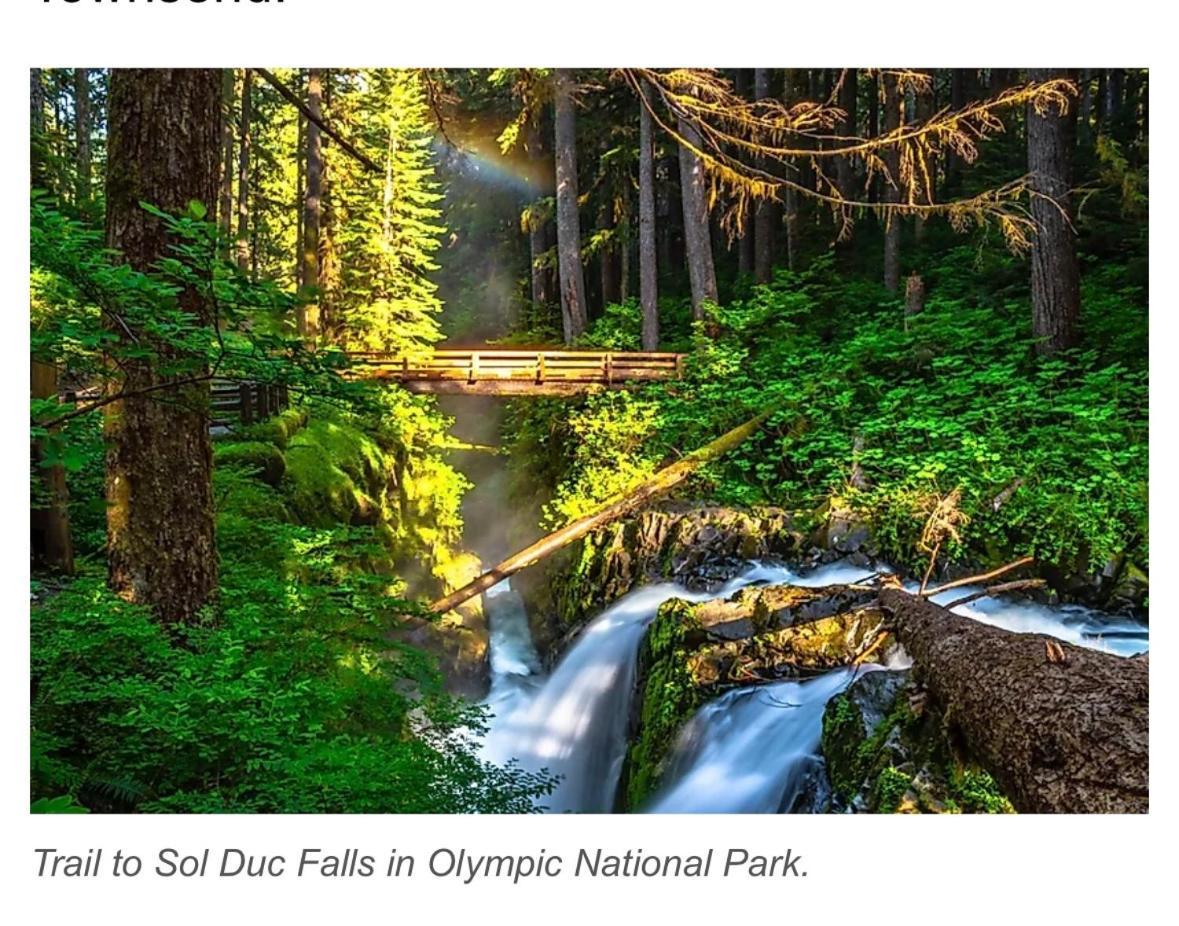 A Relaxing Getaway-A Backwoods Cabin Solduc River Beaver المظهر الخارجي الصورة